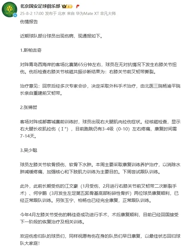 国安争冠遭暴击？32岁外援重伤将手术+赛季报销！塞蒂恩或被迫变阵
