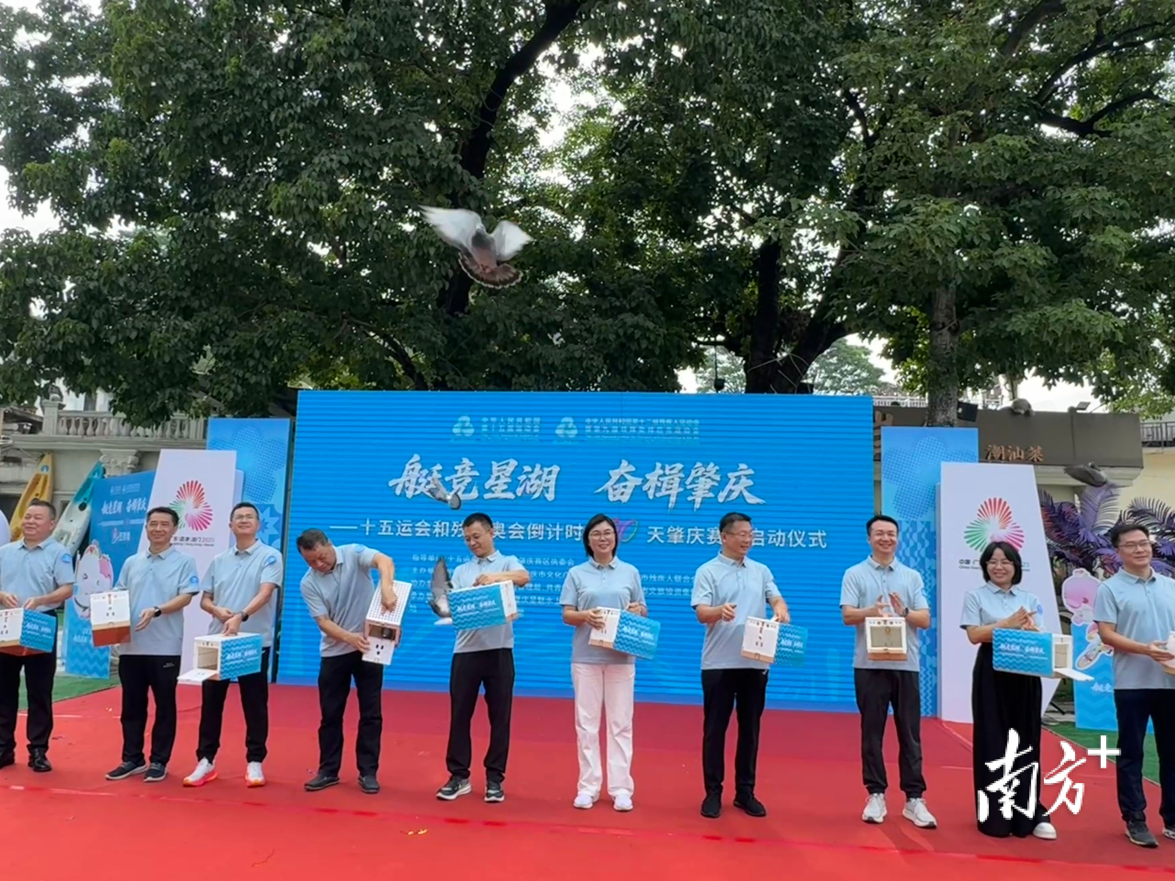 肇庆市领导与各界代表以放飞白鸽的形式启动十五运会和残特奥会肇庆赛区百日冲刺。 南方+ 卢舒曼 拍摄