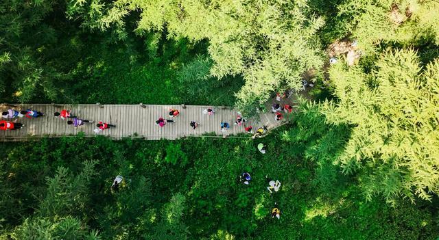 2025全国青少年定向锦标赛落幕
