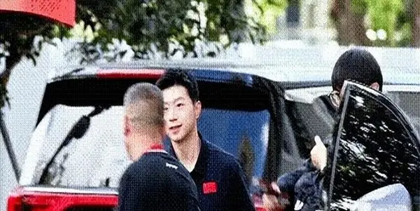 入门级心理咨询师給樊振东的一点建议