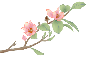 女性在生理期不能运动……是真是假？
