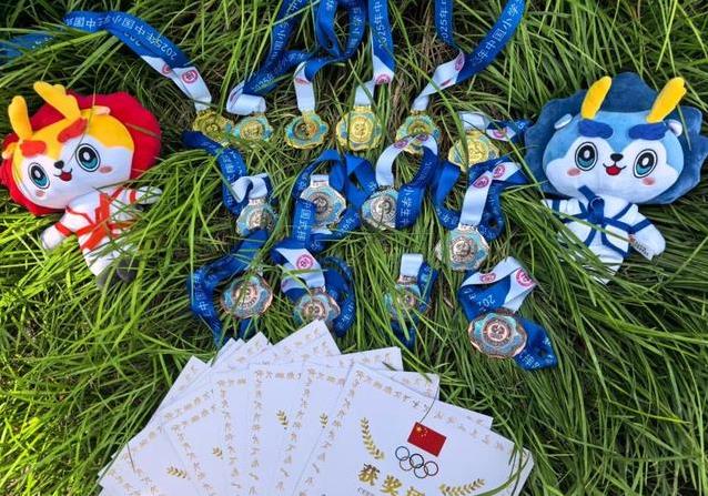 沈丘少年赛场称王，6金4银4铜，凭啥这么牛？