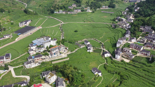 茅台红缨子高粱丰收季：18亿元投入培育“种子芯片” 60万亩基地筑牢质量根基