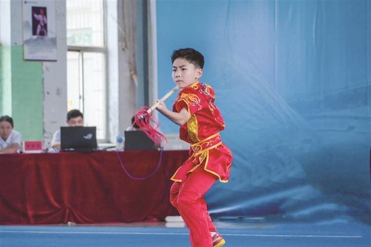 市第十九届运动会武术套路比赛举行