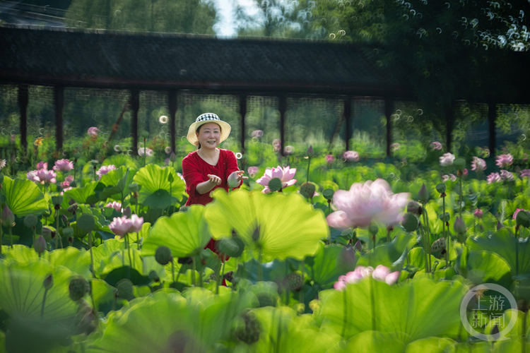 ��Ӱ��493�� | ����������Ӱ������Ʒչ������ϼ��Ʒ