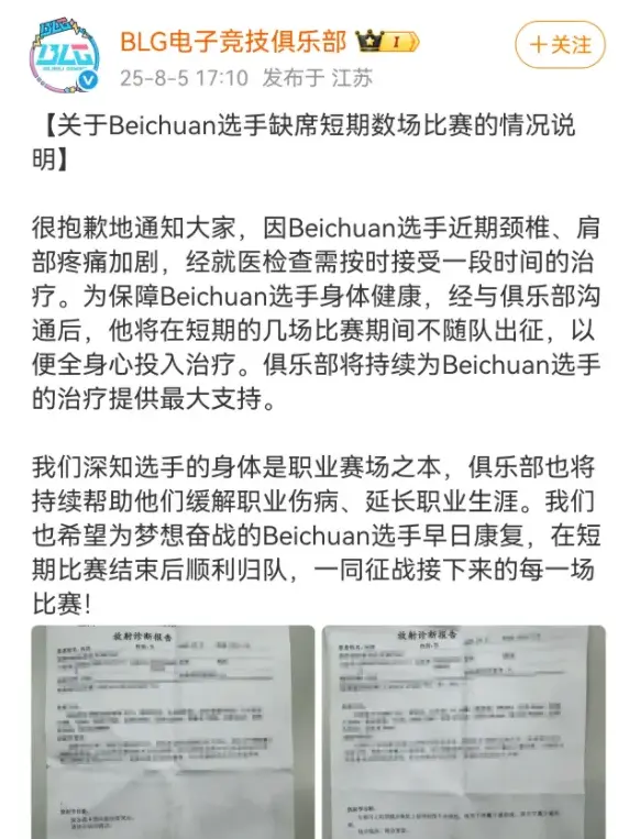 BLG放弃全华班，Shadow是意大利国籍！北川因伤病暂时退出赛场