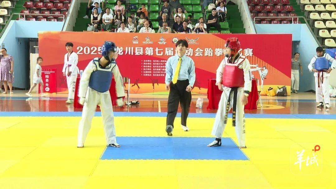 龙川县运会跆拳道赛上演速度与力量对决