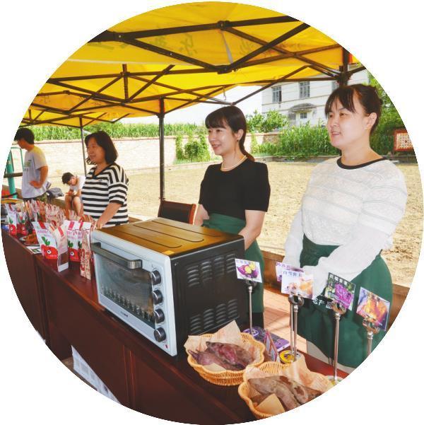 这里的“村排”红红火火