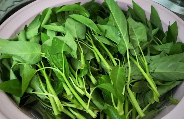 7月，这菜正当时，鲜嫩营养足，蒸包子胜过吃茴香韭菜馅，太香了