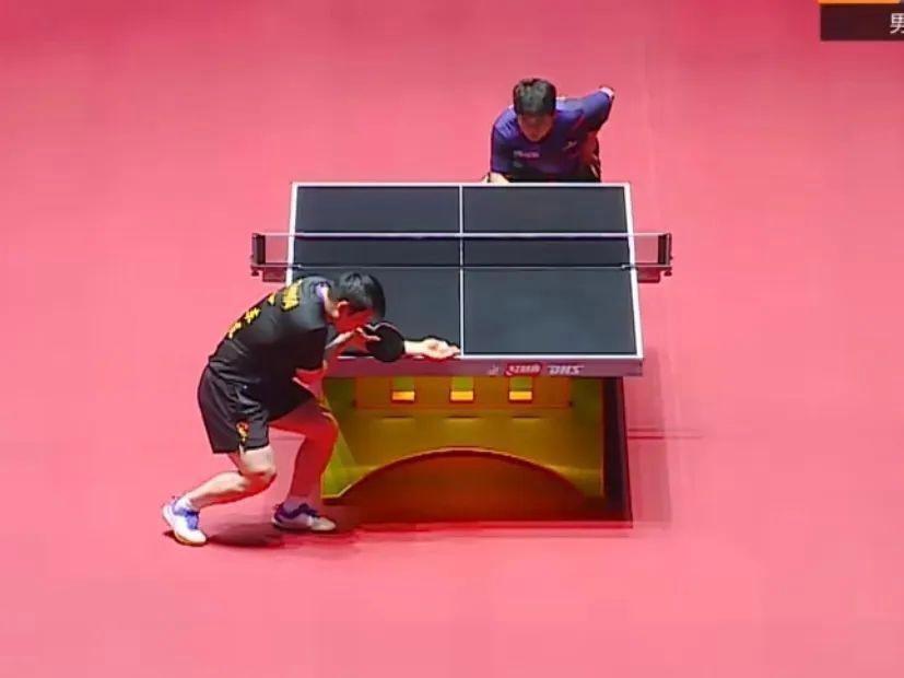 乒超第二阶段今日开赛：樊振东零封林诗栋，莎莎平野首搭女双