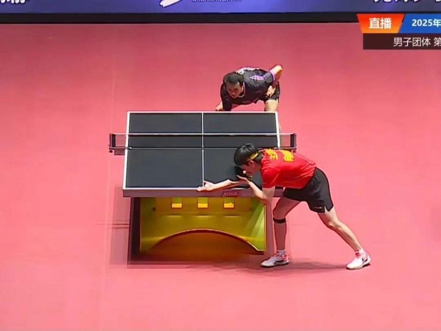 乒超第二阶段今日开赛：樊振东零封林诗栋，莎莎平野首搭女双