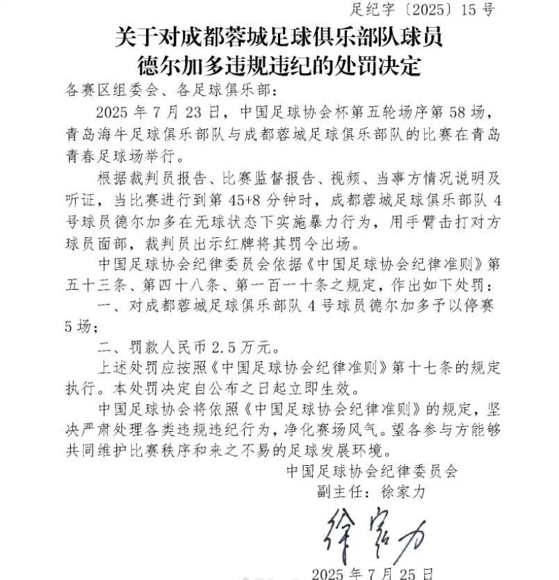 重罚蓉城队！足协开出最“复杂”罚单，山东泰山队也将受影响