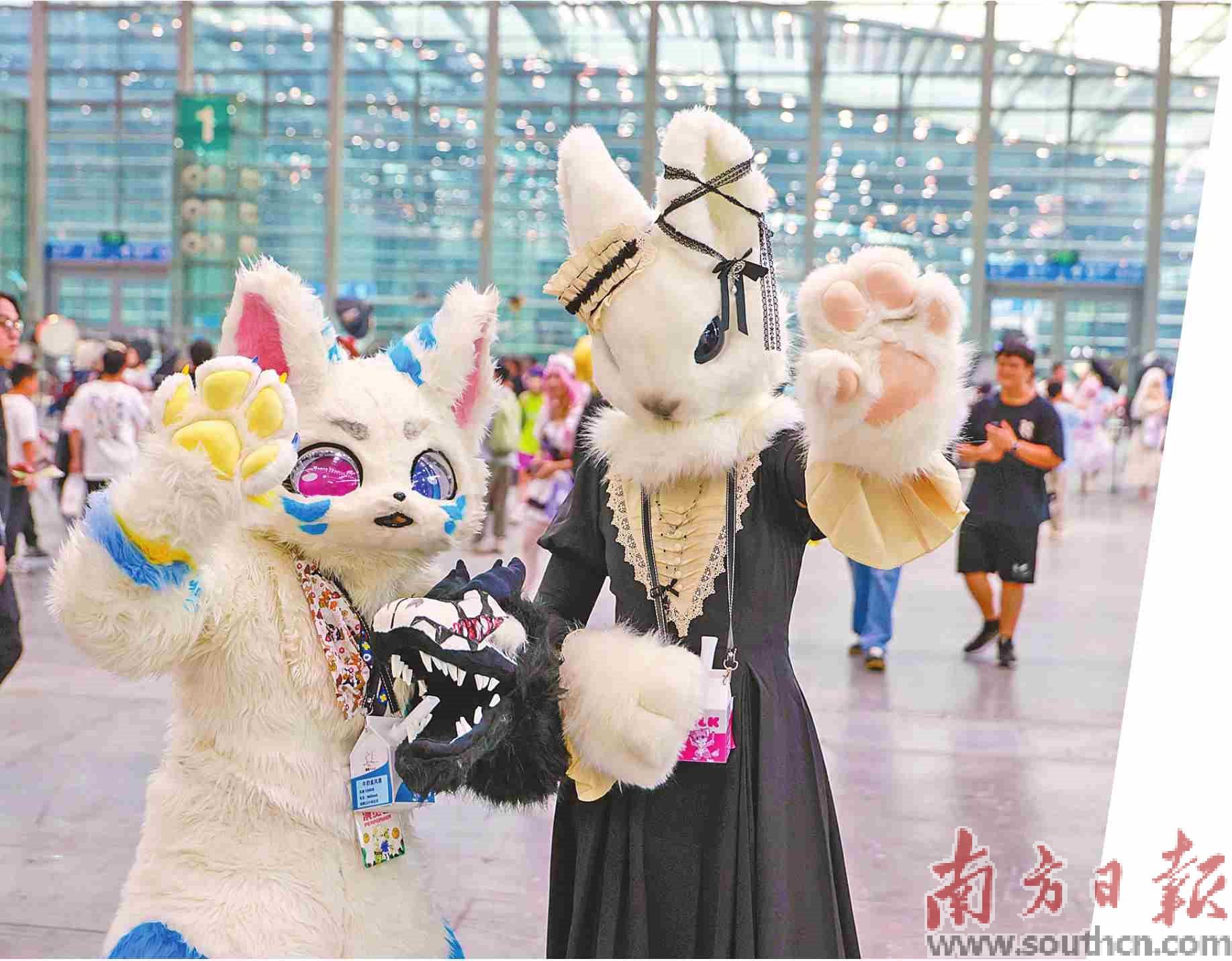 超500名选手“对决”鹏城