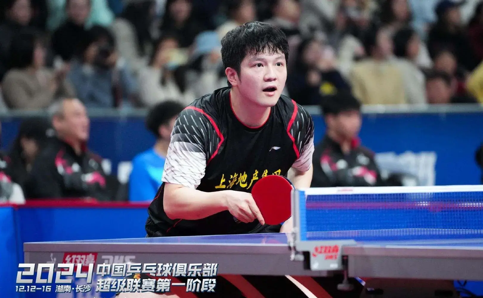 王曼昱3比0横扫姚睿轩，樊振东和松岛辉空取胜，都零封对手