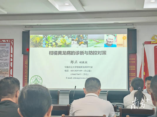 聚焦长坝沙田柚产业，专家团队提供精准技术服务