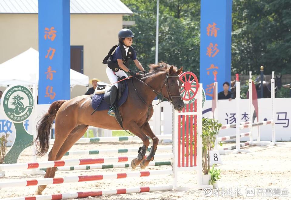 英派斯杯青岛市第六届运动会康力源杯青少年组马术比赛圆满落幕