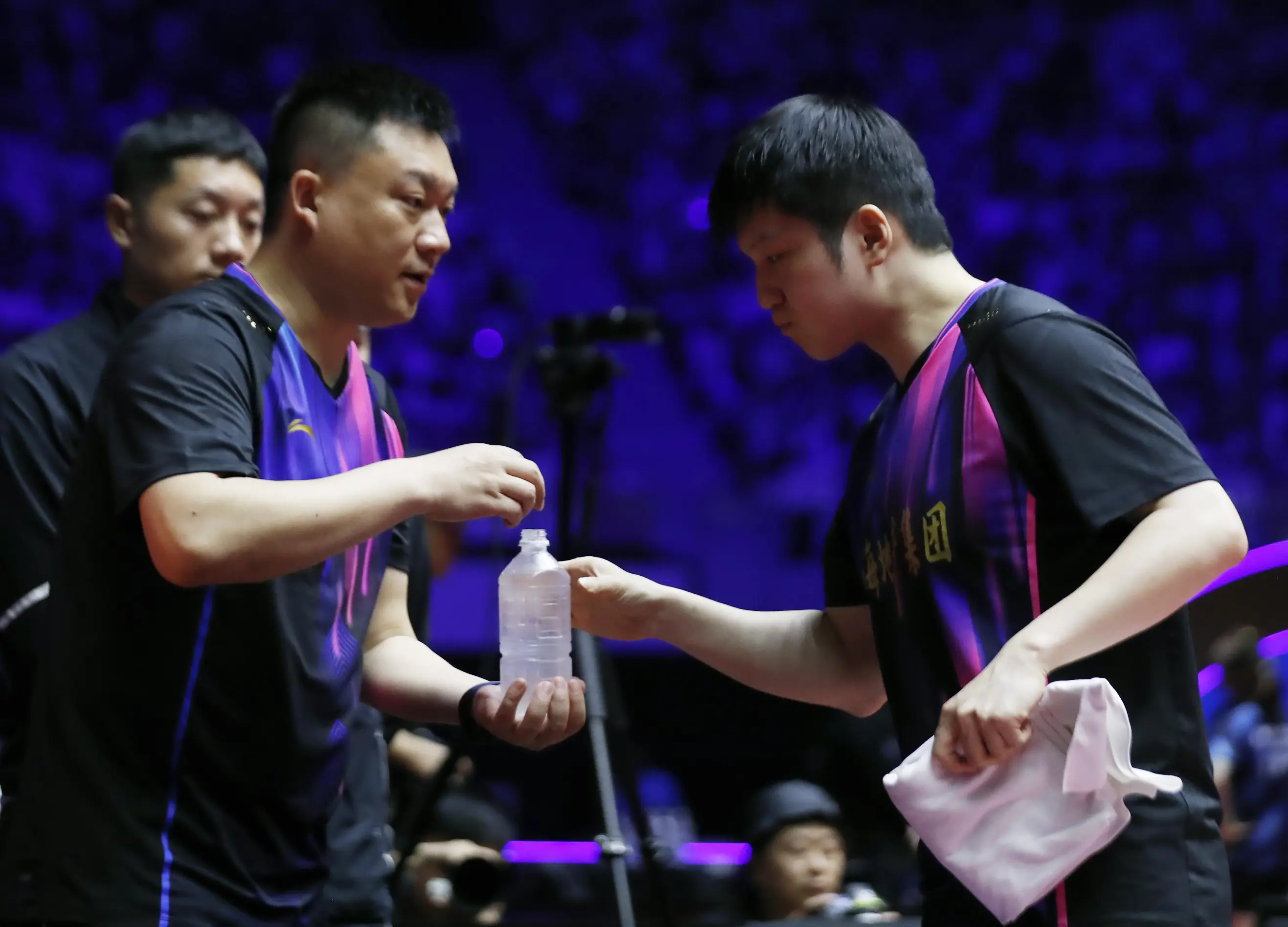 樊振东轮休见证上海胜利收官！乒超成绩13战全胜，将开启德甲征程