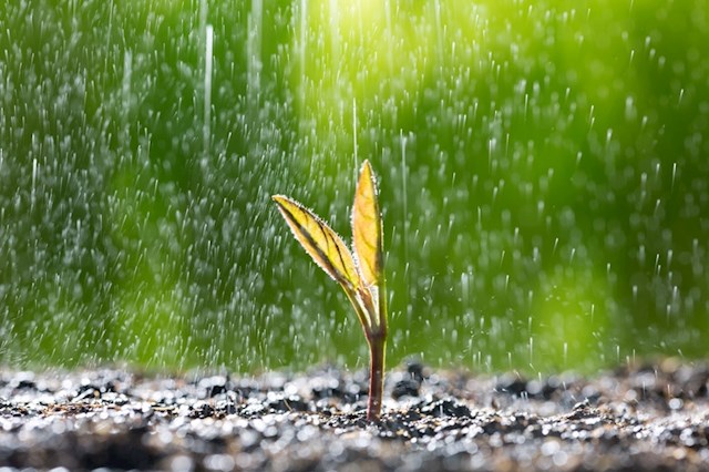雷军雨天坚持健身房打卡：上热搜了