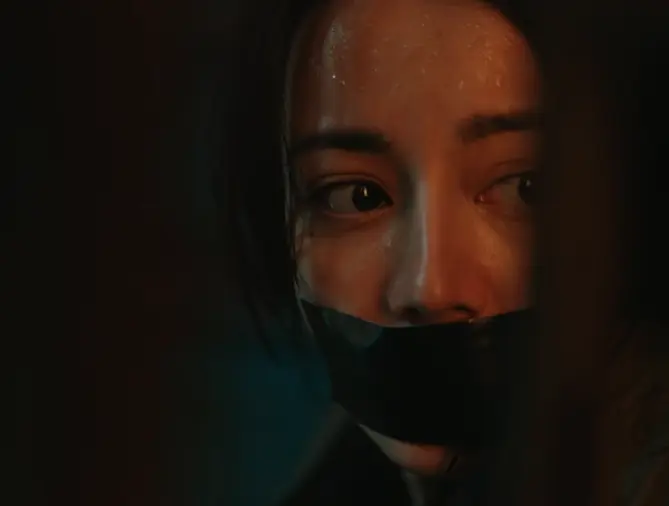 都是央视剧，把《扫毒风暴》和《利剑玫瑰》放一起看，区别很明显