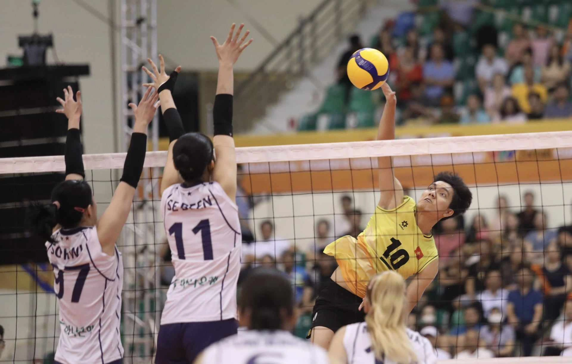 小朱婷率队 备战女排世锦赛 越南进“死亡之组”