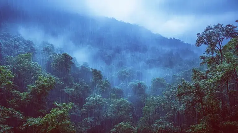 山上为什么会有流不完的水？是山顶一直在下雨吗？