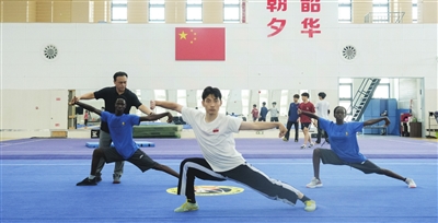 塞内加尔国家青少年武术队来津“学艺”（图）