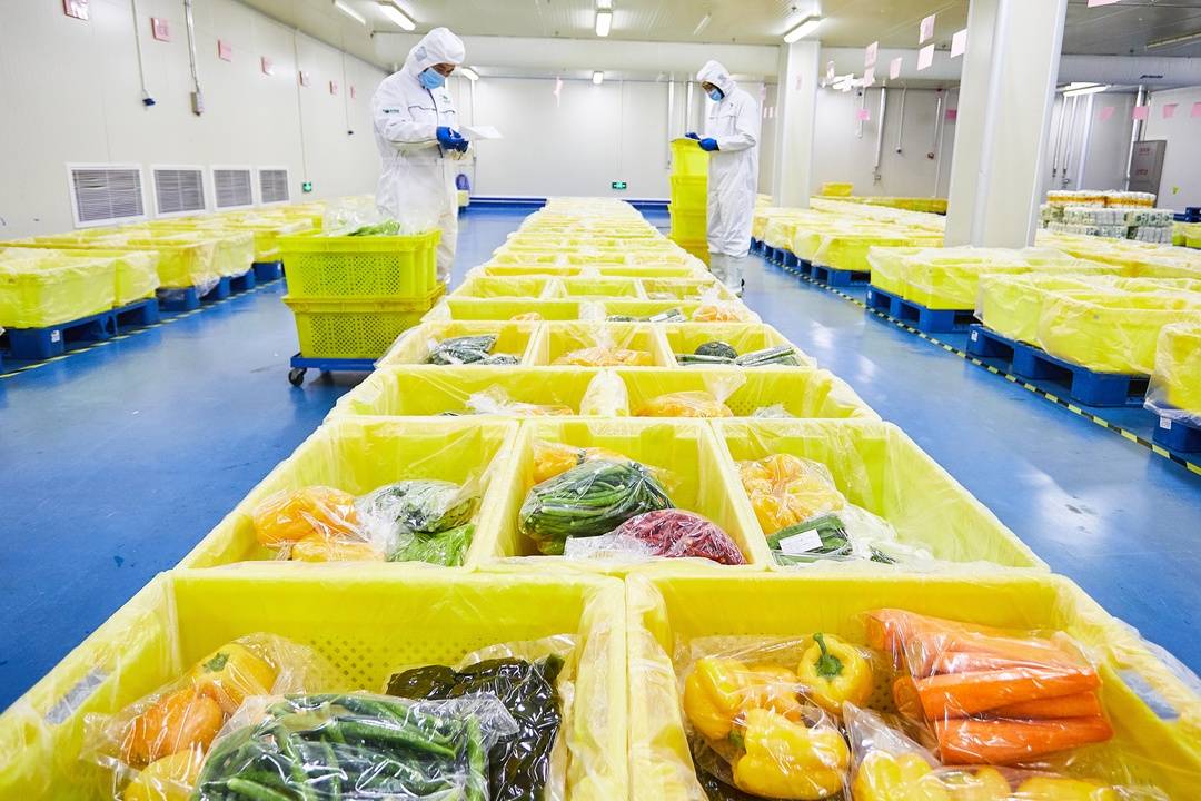 应急状态下的坚实守护：22类果蔬全力保供成都世运会