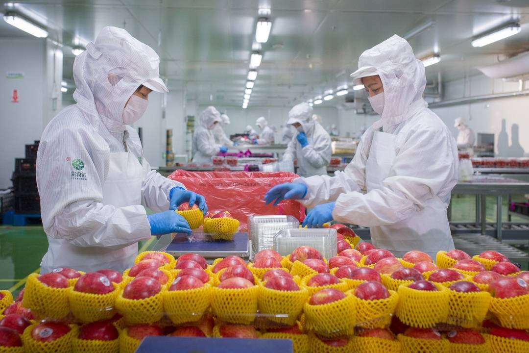 应急状态下的坚实守护：22类果蔬全力保供成都世运会
