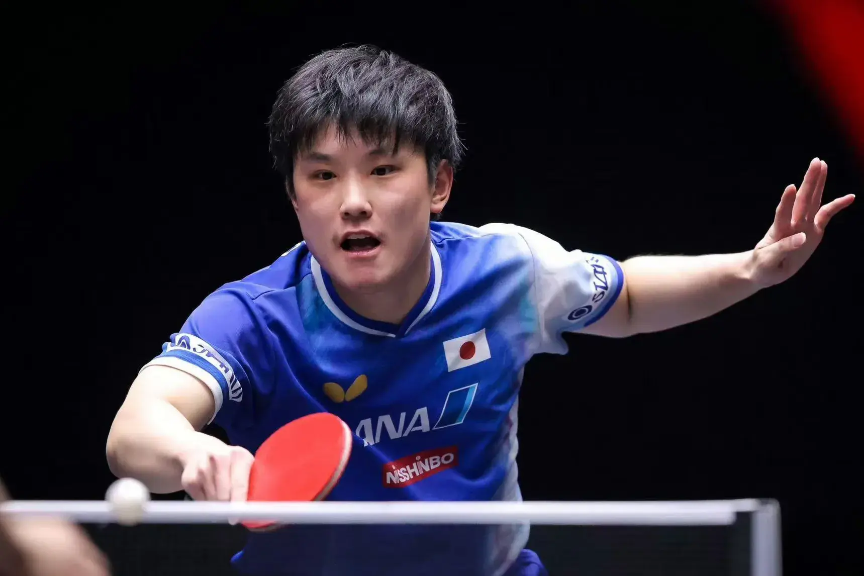 WTT冠军赛最新战报：张本智和3-0，男单16强诞生8席 国乒两人1轮游