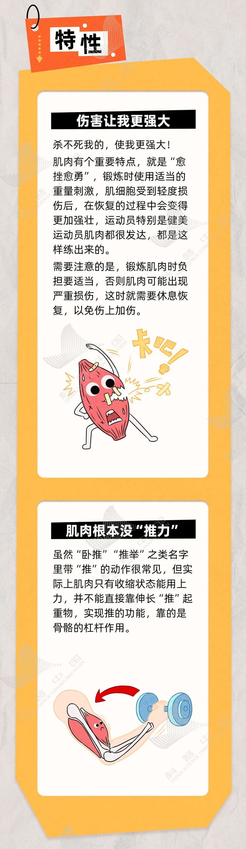 90%的人都忽略了的燃脂小窍门