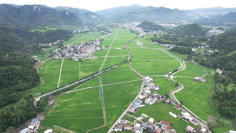 松桃乌罗镇：田畴沃野展新姿 万亩机械新“稻”路。