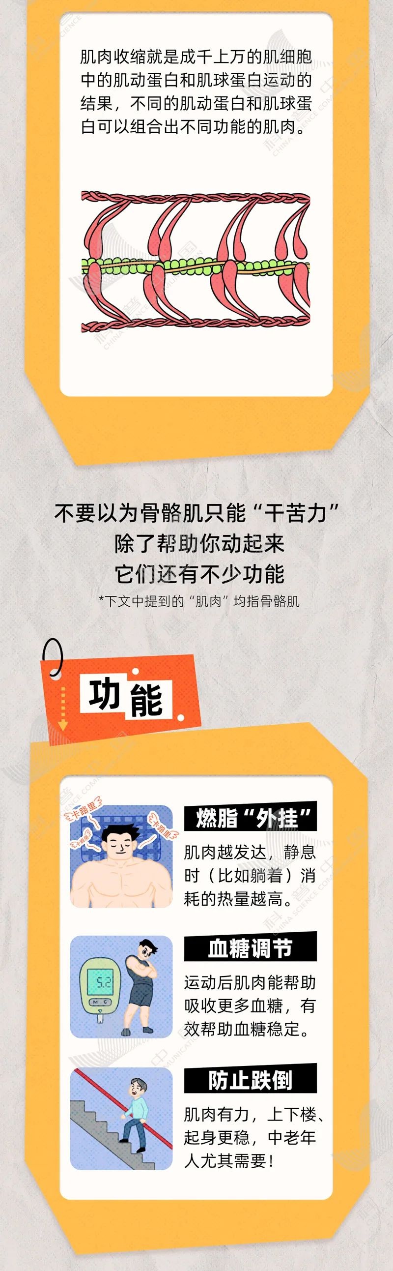 90%的人都忽略了的燃脂小窍门