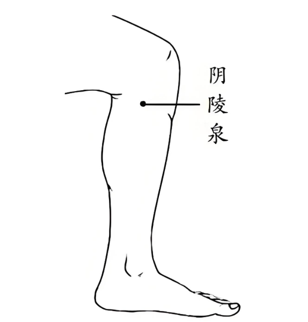 不同的体质适合不同的运动！中医给你的三伏天专属健身法→
