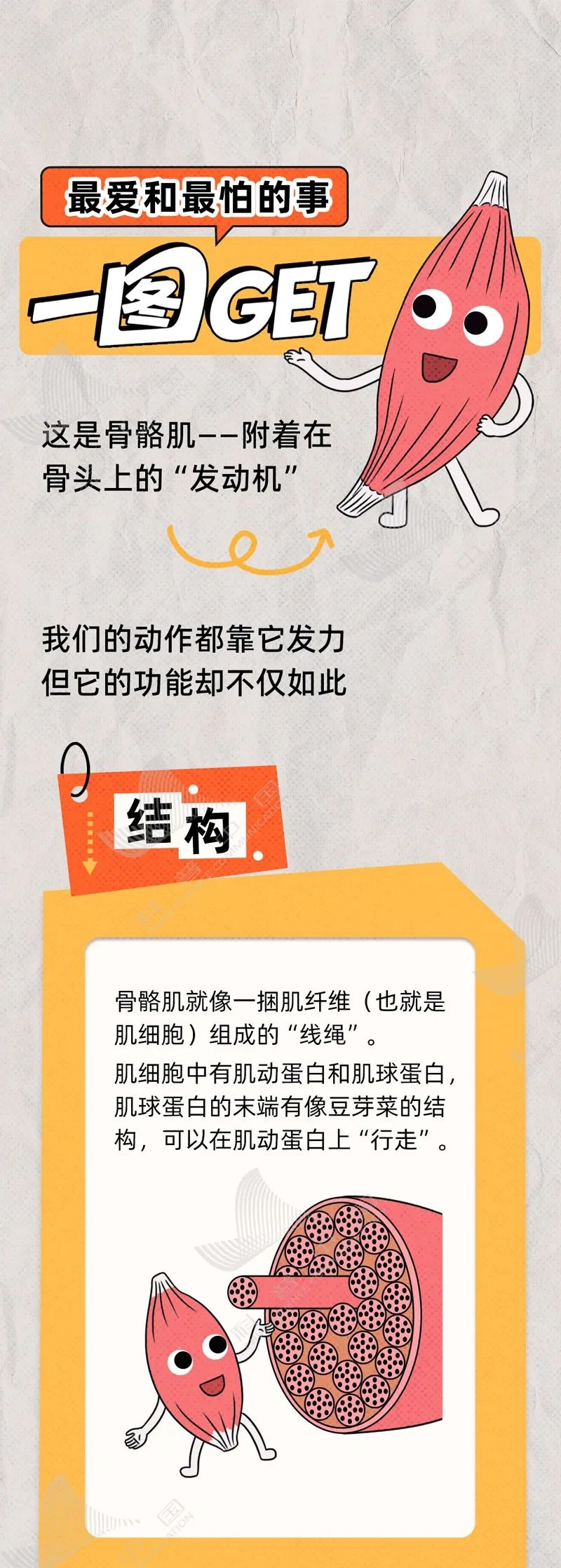 90%的人都忽略了的燃脂小窍门