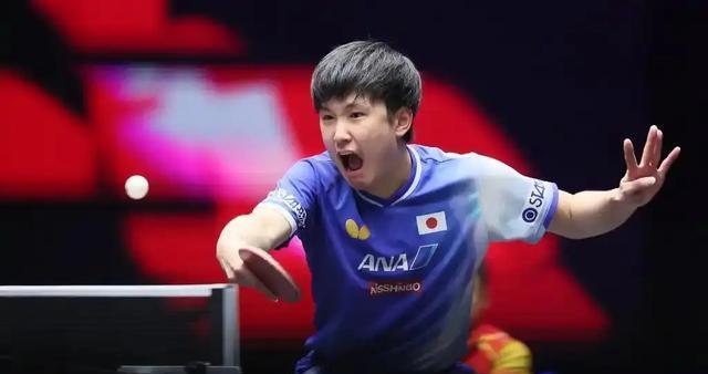 3比0！张本智和暴打对手！日本天才又嚣张起来，复仇王楚钦冲冠？