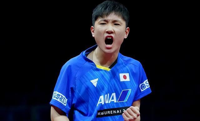 3比0！张本智和暴打对手！日本天才又嚣张起来，复仇王楚钦冲冠？