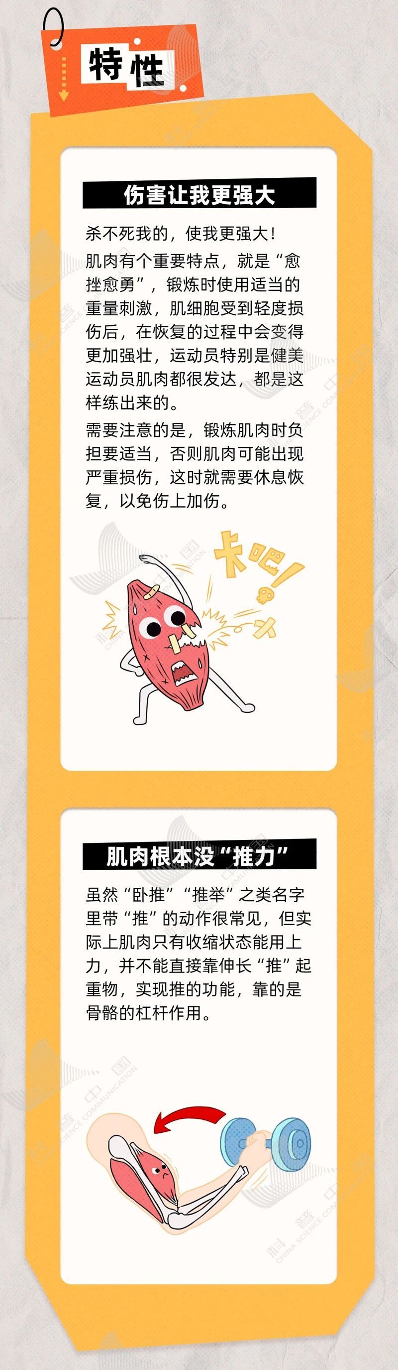 有个燃脂小窍门，90% 的人都忽略了