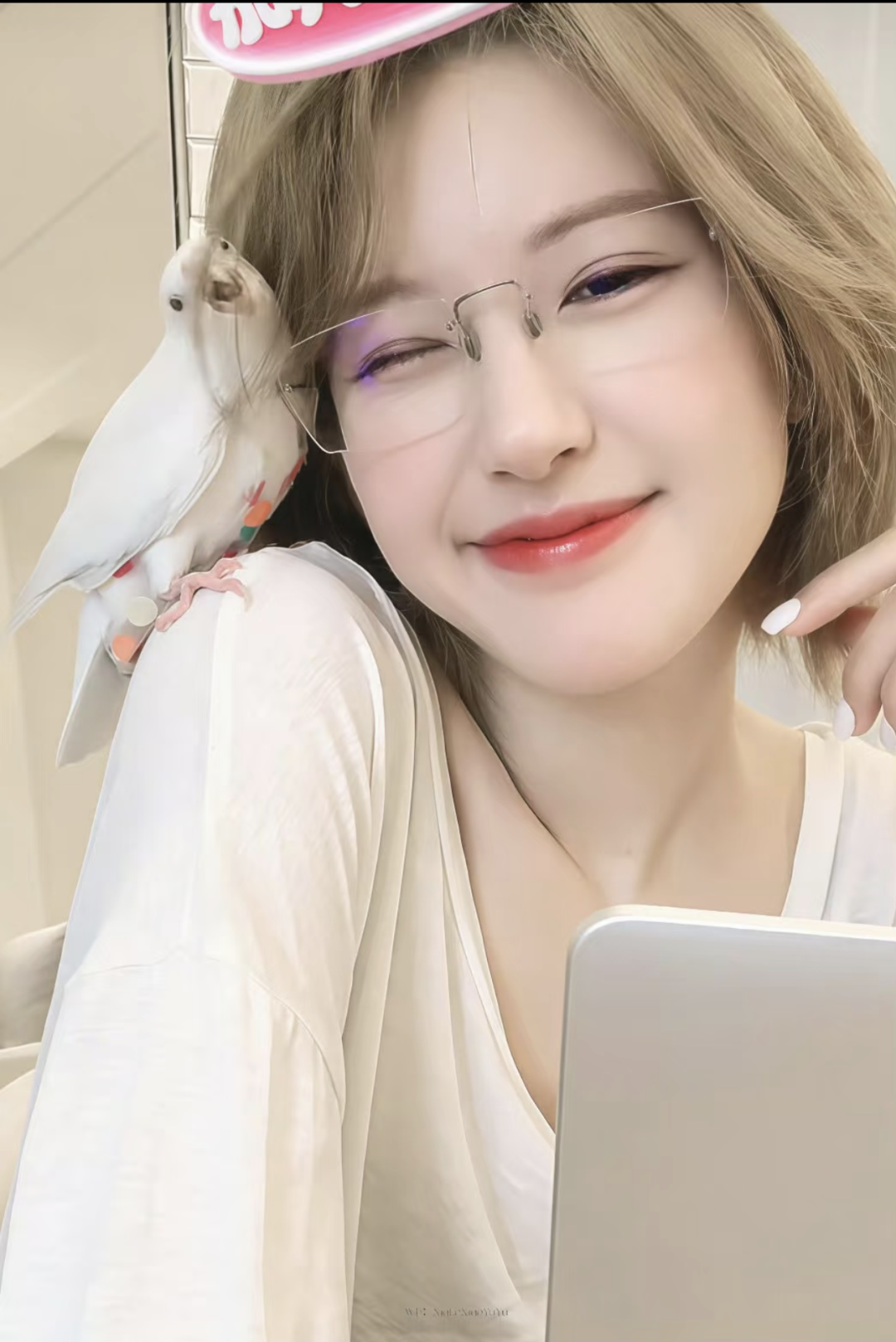 两天3场直播，赵露思粉丝破2000万，有人破大防了！