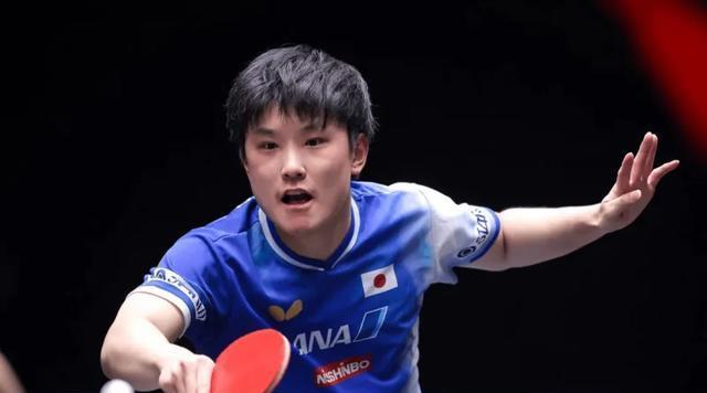 3比0！张本智和暴打对手！日本天才又嚣张起来，复仇王楚钦冲冠？