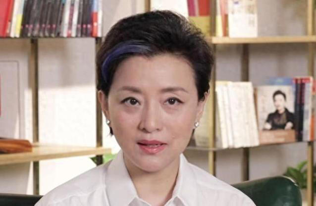 杨澜果断离婚,闪婚商界大佬,事业家庭双丰收?