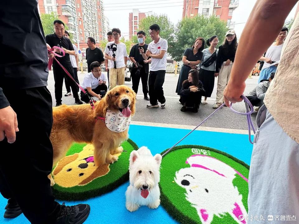 泰山体育超级工厂店启幕，全民健身热潮再掀新高潮！