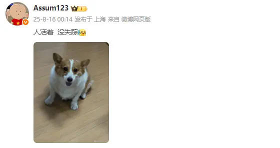 Assum试训风波引热议，WBG成最大热门候选