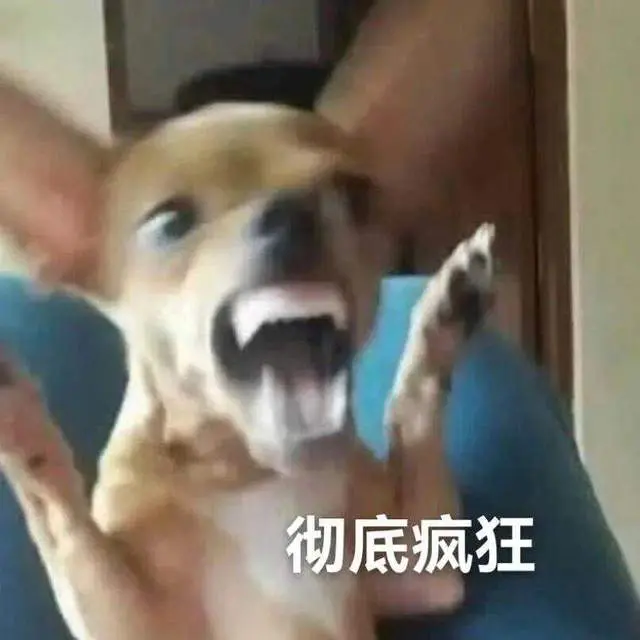 千万粉网红“斜眼狗”加入网易自走棋？腾讯玩家看不下去了