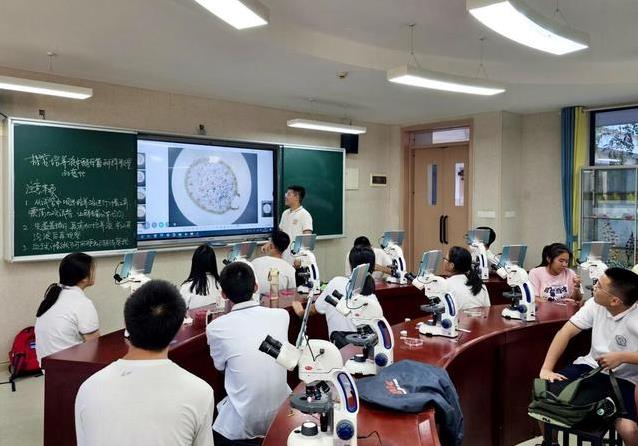 17岁少年拼到全国35名，县城小校逆袭清北路