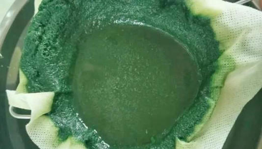 老话说“秋天吃3草，半年无病扰”，具体吃啥草？咋做更好吃？