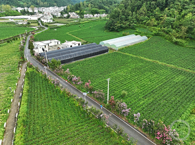 乡村马拉松开跑 老矿区变身运动休闲乐园