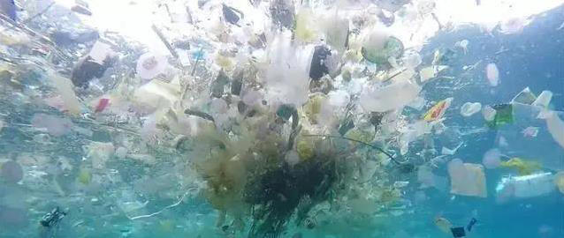万米深海现塑料垃圾，人类乱扔后果严重，你还敢忽视吗？