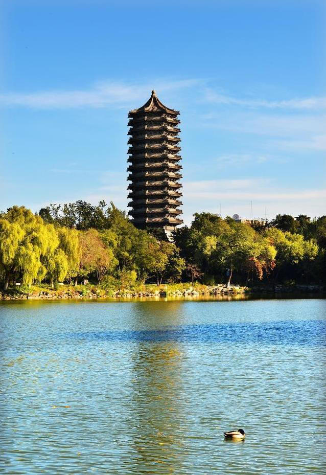 北大补录4次无人问津，铁饭碗专业挤破头，高考风向变了？