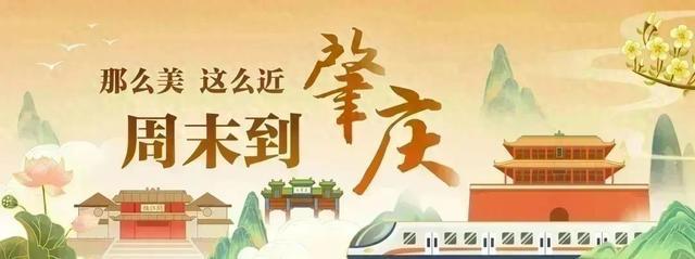 精彩！这场省级高尔夫球赛，圆满收杆！