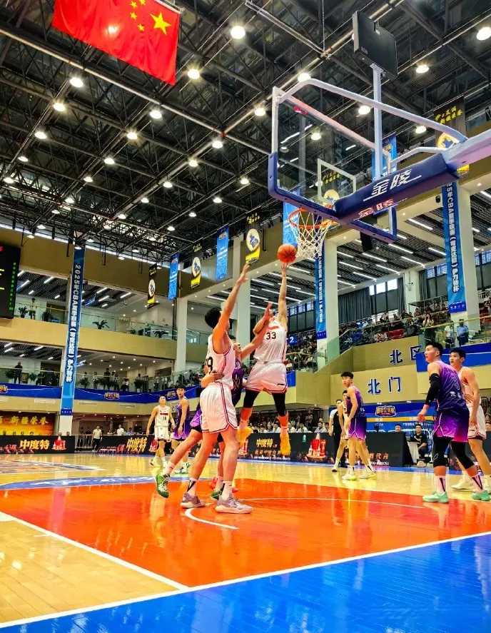 狂赢36分！杜锋不给张庆鹏留情面，广东2连胜，小将17+12太优秀了